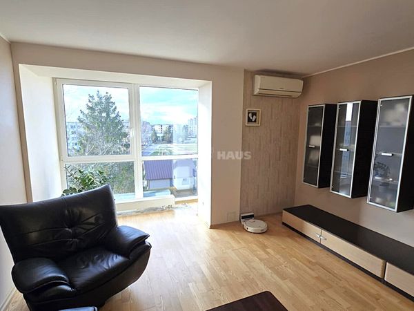 Panevėžys, Centras