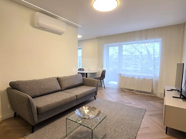 Panevėžys, Centras