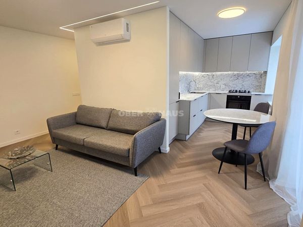 Panevėžys, Centras