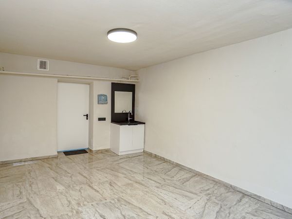 Panevėžys, Centras