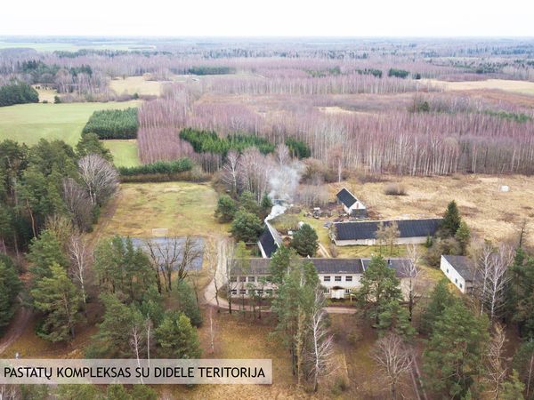 Pakruojo r. sav., Šukioniai