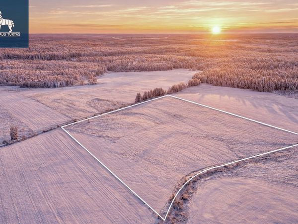 Vilniaus r. sav., Pakalniai