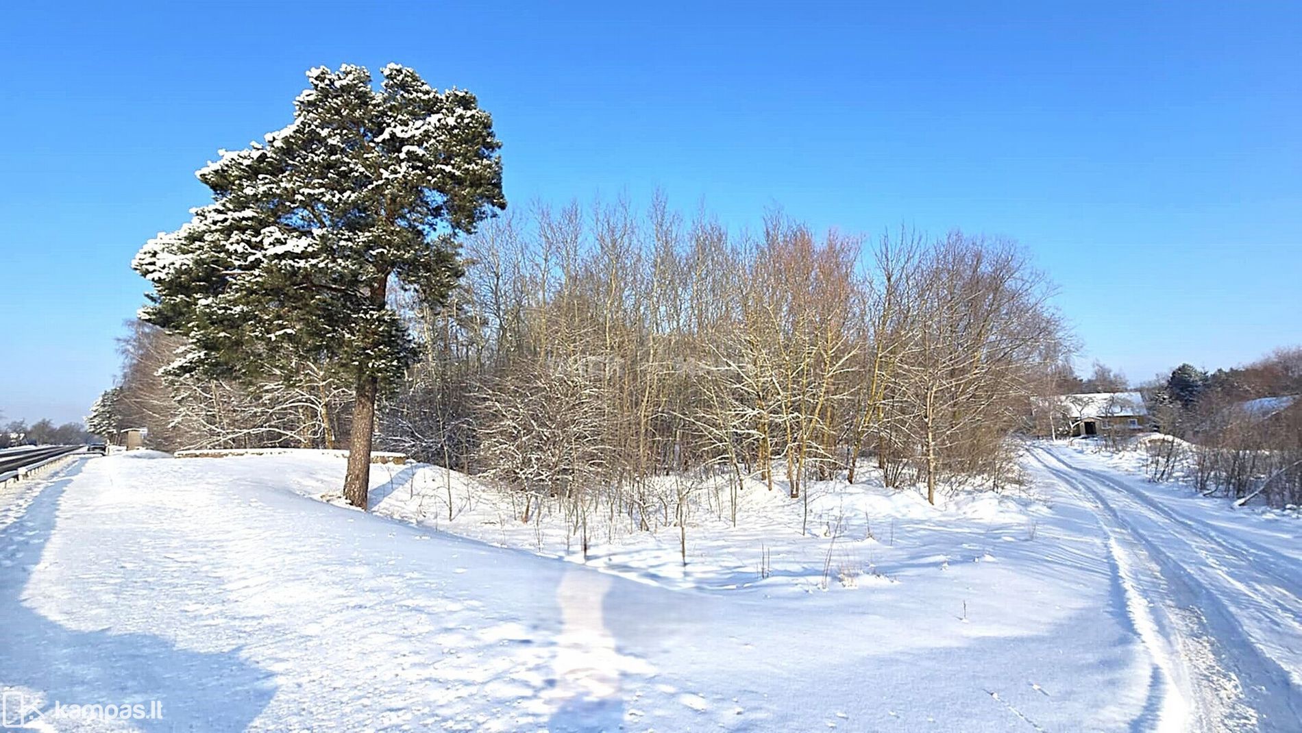 Main Image Panevėžio r. sav., Vyčiai