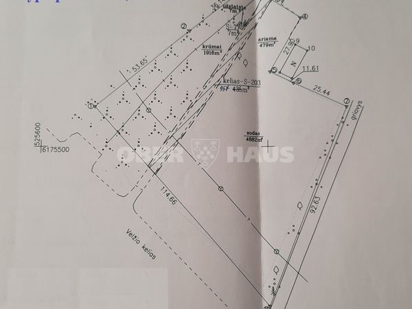 Panevėžio r. sav., Vyčiai