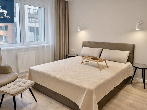 Vilnius, Šnipiškės