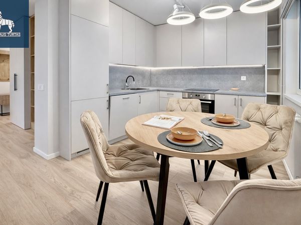 Vilnius, Šnipiškės