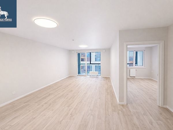 Vilnius, Šnipiškės