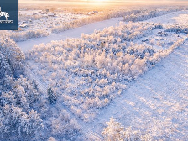Trakų r. sav., Senasis Tarpupis