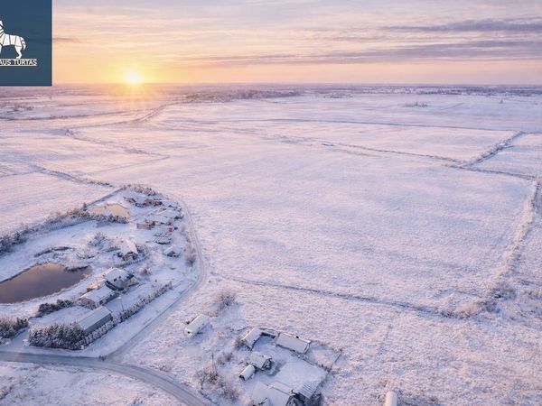 Trakų r. sav., Senasis Tarpupis