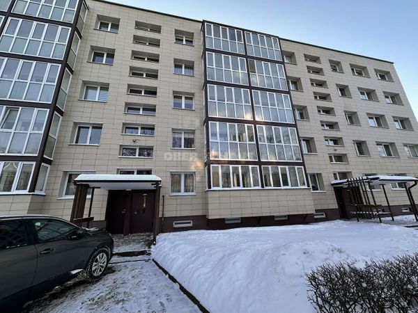 Panevėžys, Centras