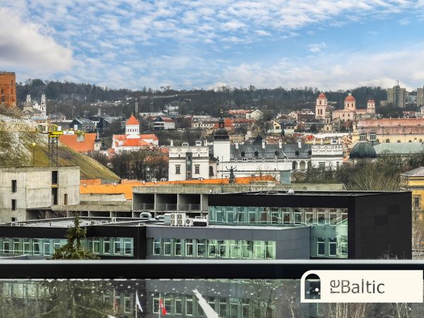 Vilnius, Šnipiškės