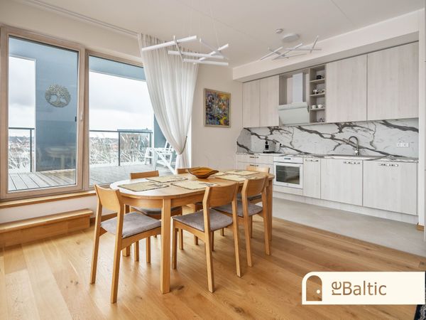 Vilnius, Šnipiškės