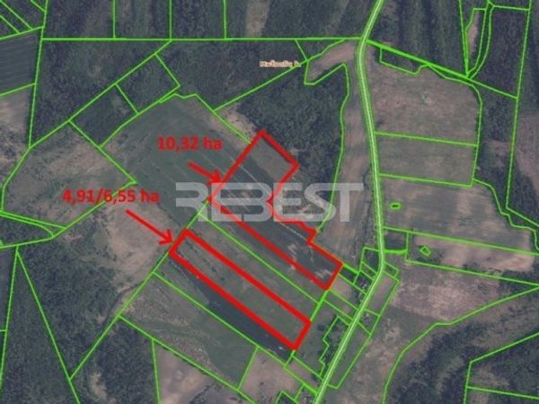 Radviliškio r. sav., Mažuoliai