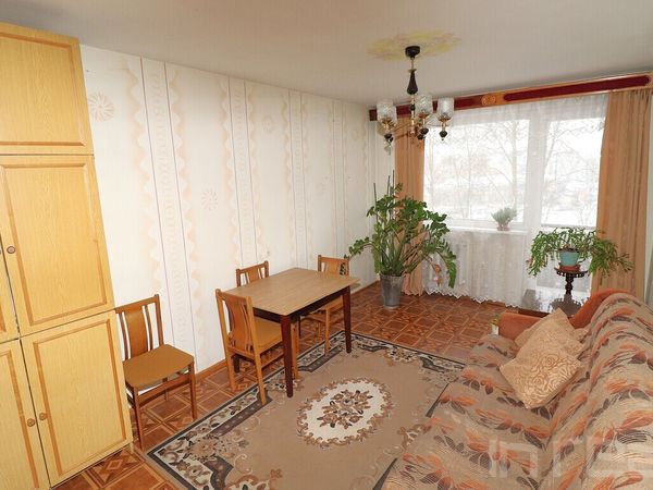 Panevėžys, Tulpės