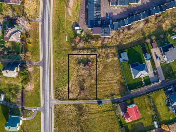 Elektrėnų sav., Vievis