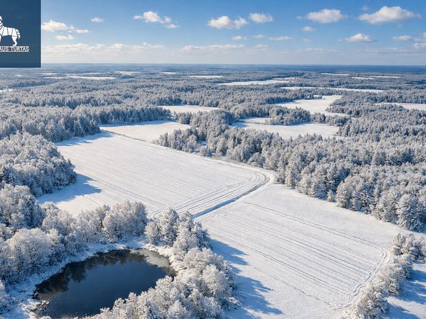 Elektrėnų sav., Elektrėnai