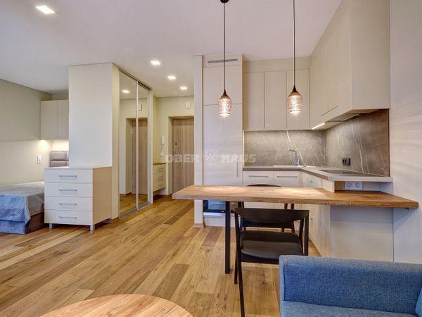 Vilnius, Šnipiškės