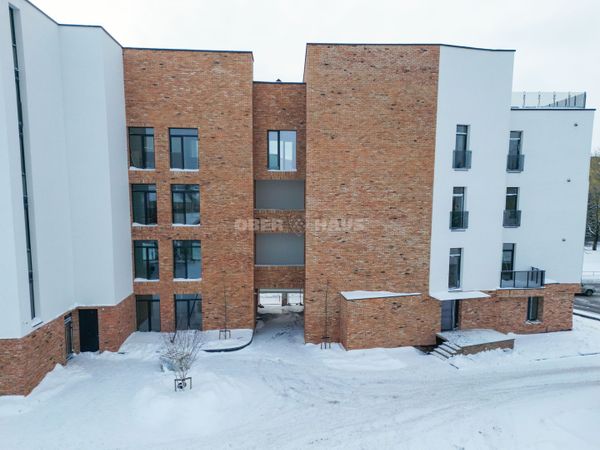 Panevėžys, Centras