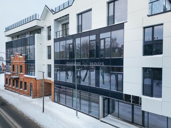 Panevėžys, Centras