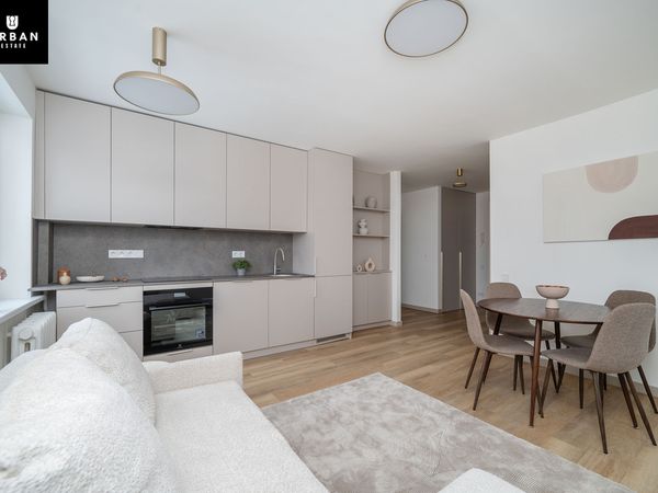 Vilnius, Šnipiškės