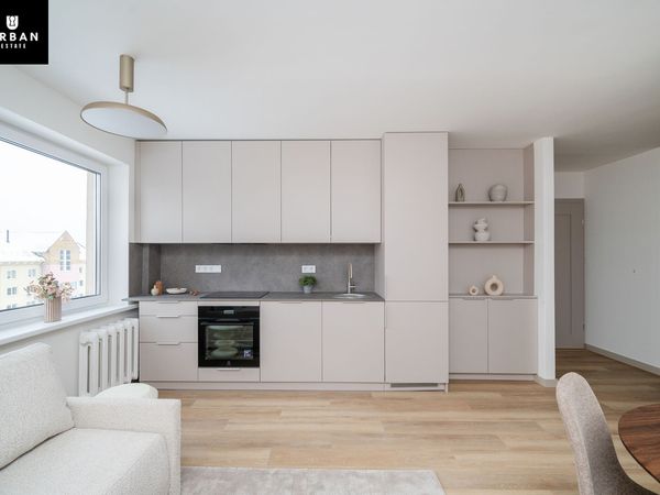 Vilnius, Šnipiškės