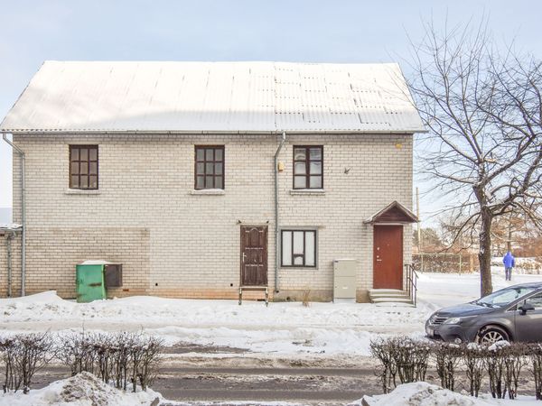 Panevėžys, Tulpės