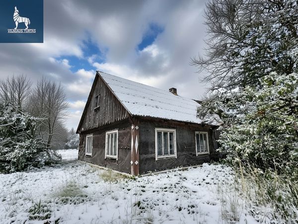 Rokiškio r. sav., Alseta