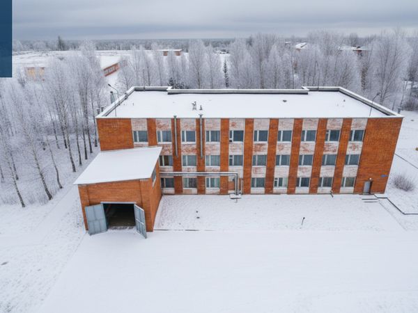 Visagino sav., Drūkšiniai