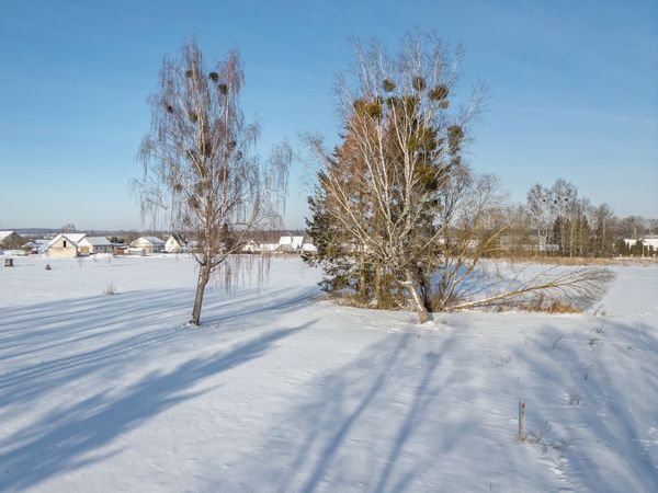 Širvintų r. sav., Vileikiškiai