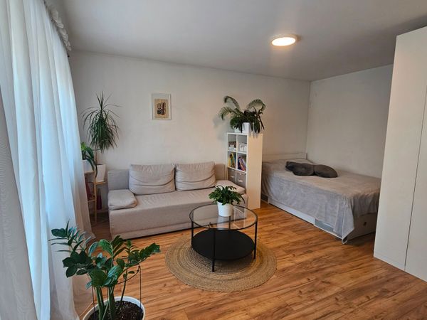 Kaunas, Vilijampolė