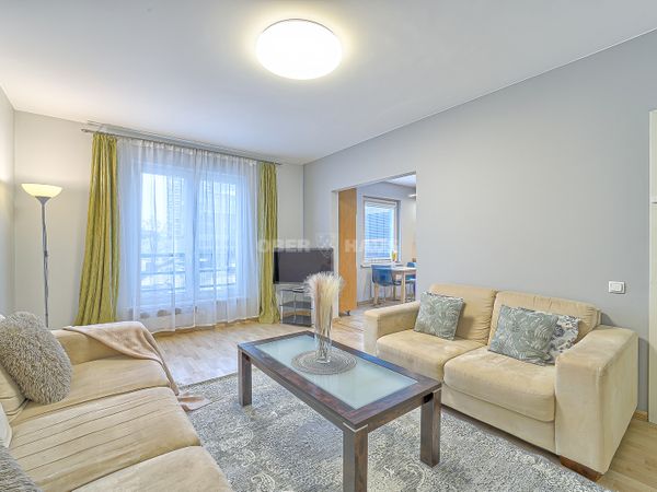 Vilnius, Naujamiestis