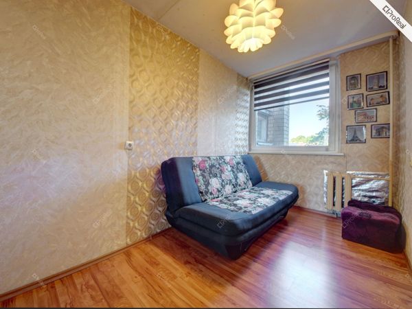 Vilnius, Šnipiškės