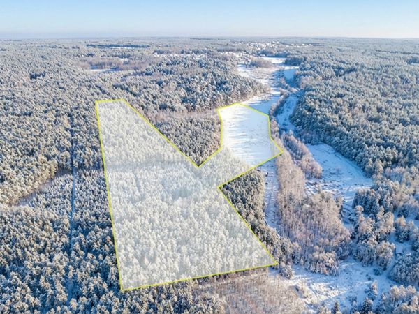 Vilniaus r. sav., Liepiai