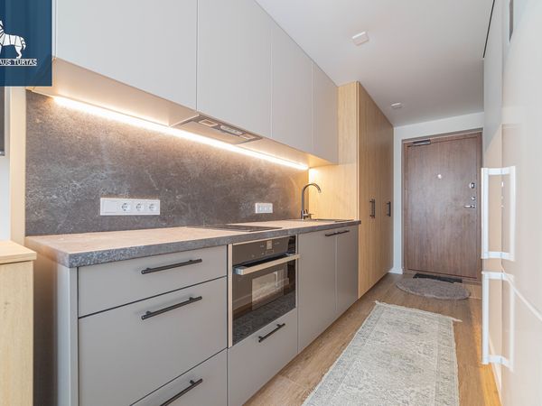 Vilnius, Naujoji Vilnia