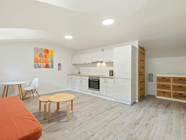 Vilnius, Naujamiestis