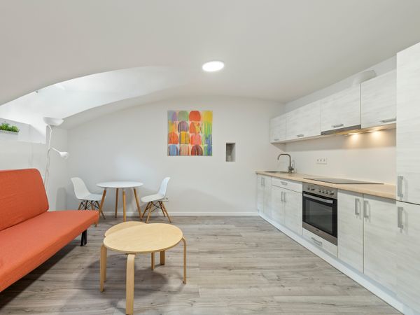 Vilnius, Naujamiestis