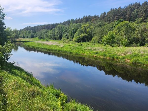 Kauno r. sav., Kilova