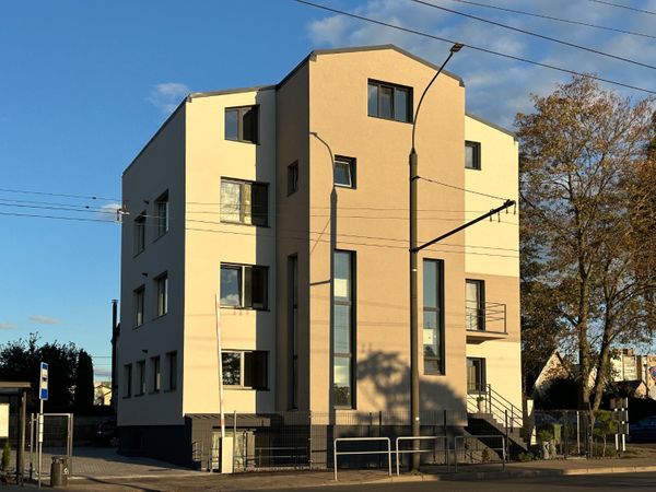 Kaunas, Žaliakalnis