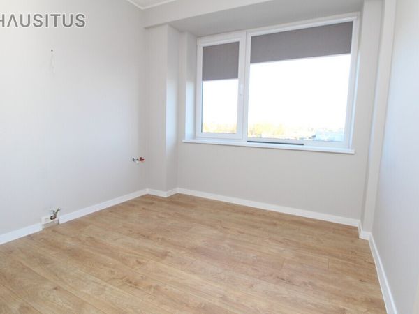 Panevėžys, Pramonės