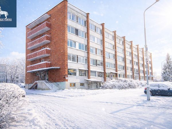 Vilnius, Šnipiškės