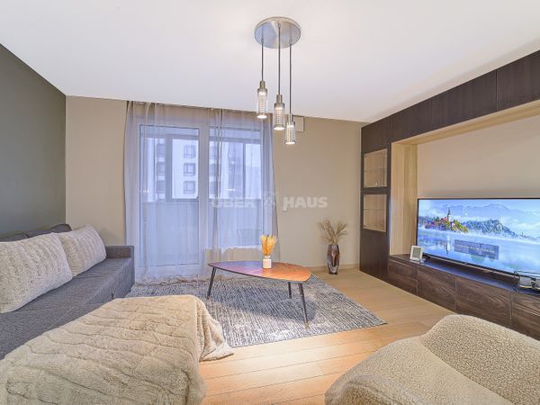 Vilnius, Šnipiškės