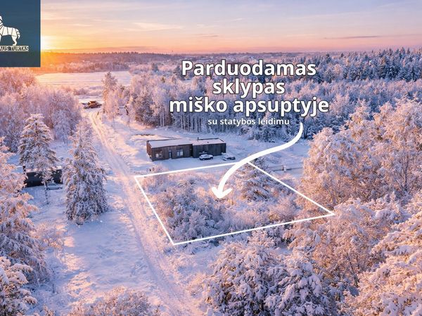 Vilniaus r. sav., Paliepiai