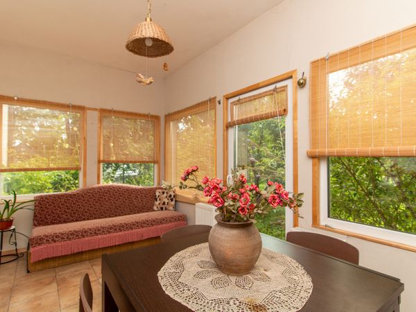 Raseinių r. sav., Viduklė