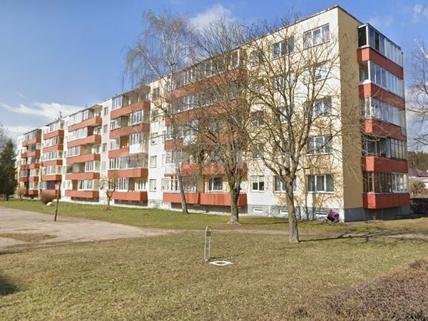 Panevėžys, Tulpės