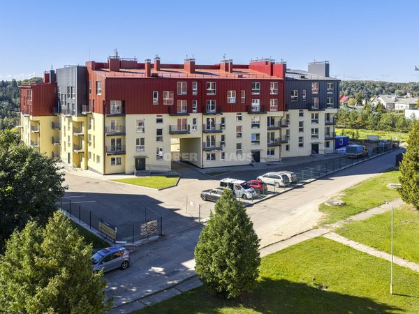 Raseinių r. sav., Ariogala