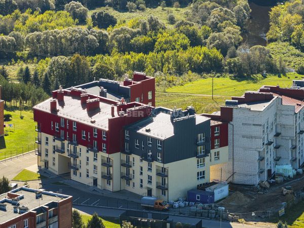 Raseinių r. sav., Ariogala