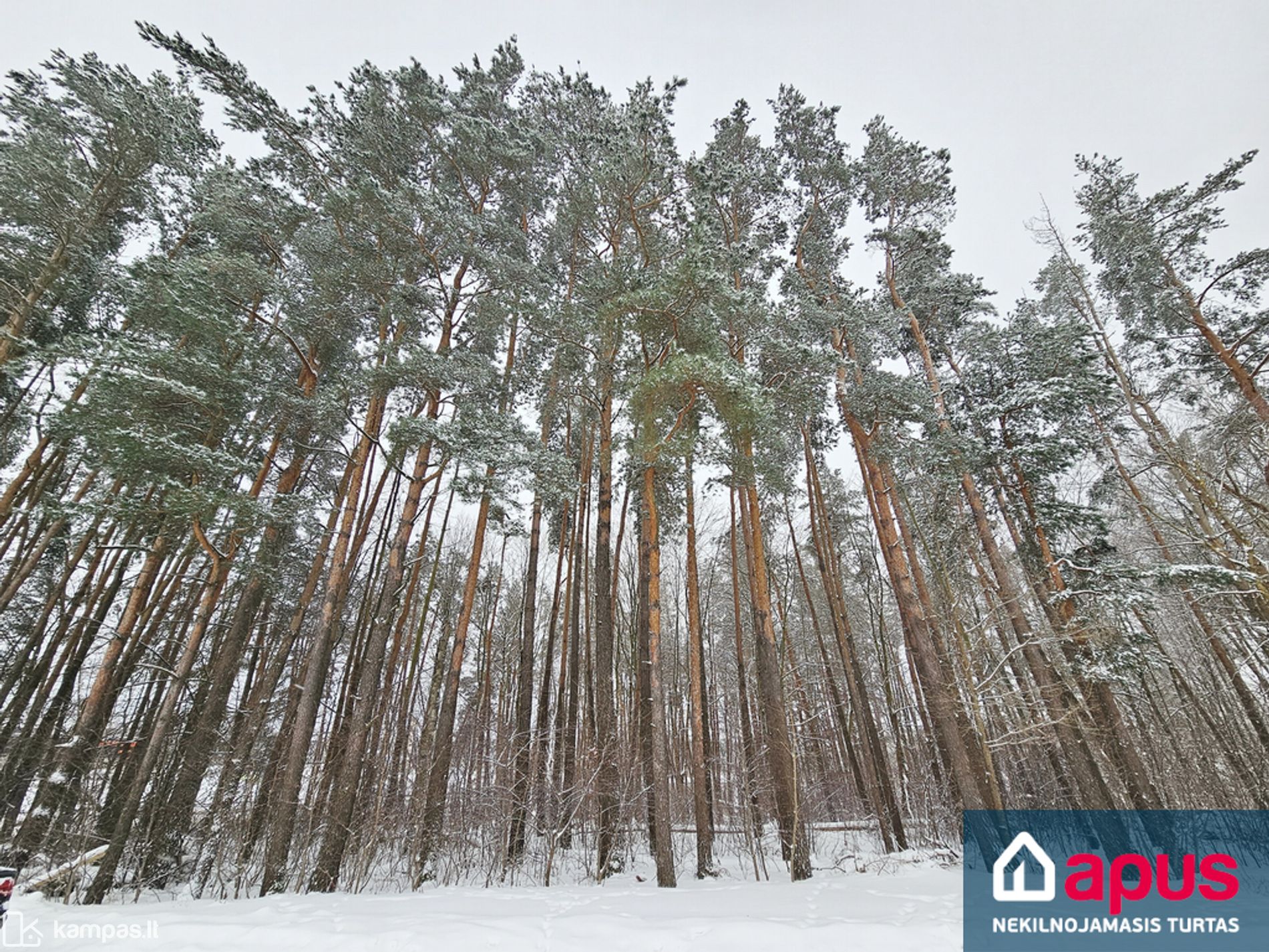 Main Image Vilniaus r. sav., Didžioji Riešė