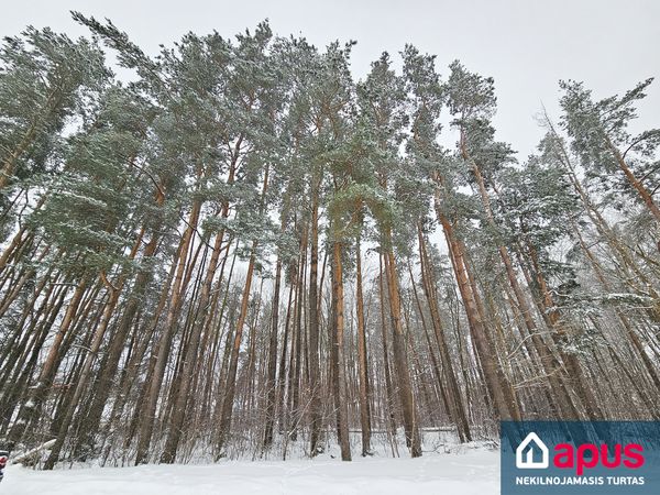 Vilniaus r. sav., Didžioji Riešė