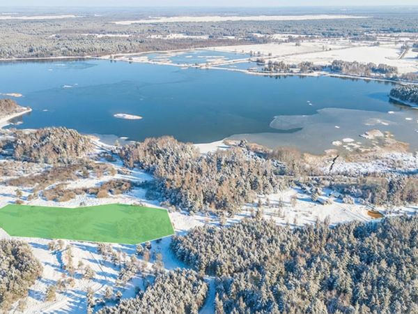 Molėtų r. sav., Grybėnai