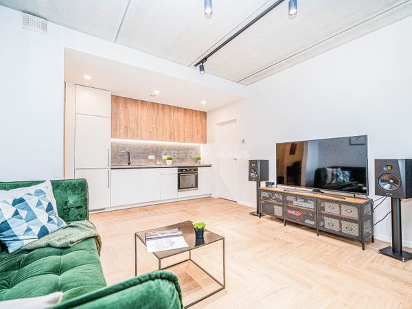 Vilnius, Šnipiškės